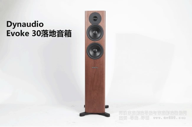  Dynaudio Evoke 30u(png)y(c)