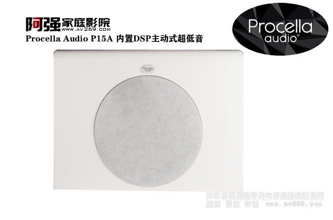 Procella Audio P15A (ni)DSPʽ