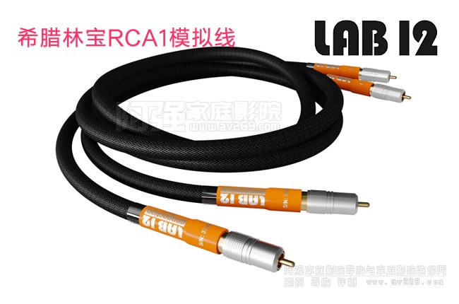 Lab12֌RCA1ģM