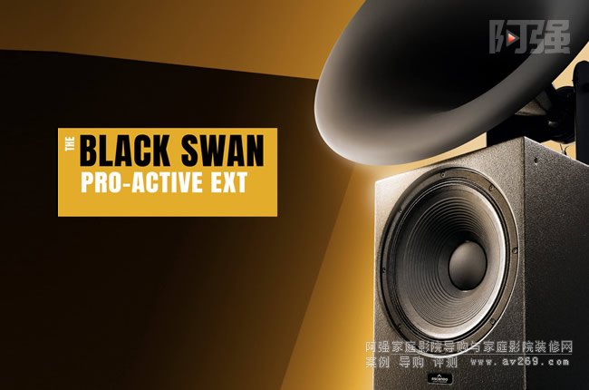 ˹DAscendo̖THE BLACK SWAN ACTIVE EXT