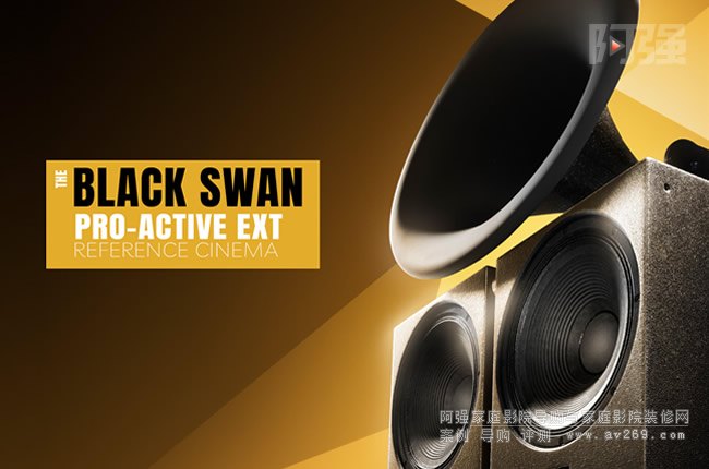 ˹DŞ̖THE BLACK SWAN ACTIVE EXT RC